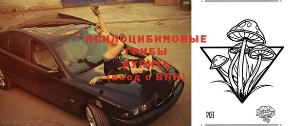 ECSTASY Балахна
