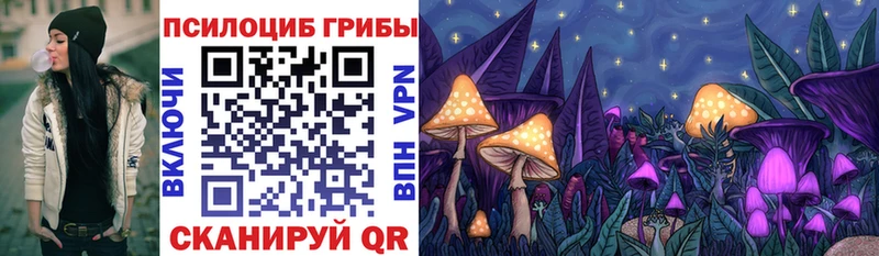 это формула  хочу наркоту  Горно-Алтайск  Псилоцибиновые грибы Psilocybine cubensis 